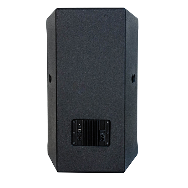 Фото Активная акустическая система Port Audio TDS1515A PRO