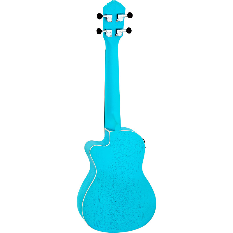 Фото Ortega RULAGOON Earth Series