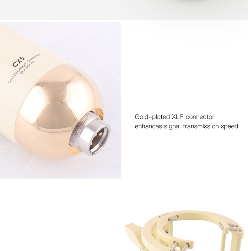 Фото Микрофон Alctron CX5