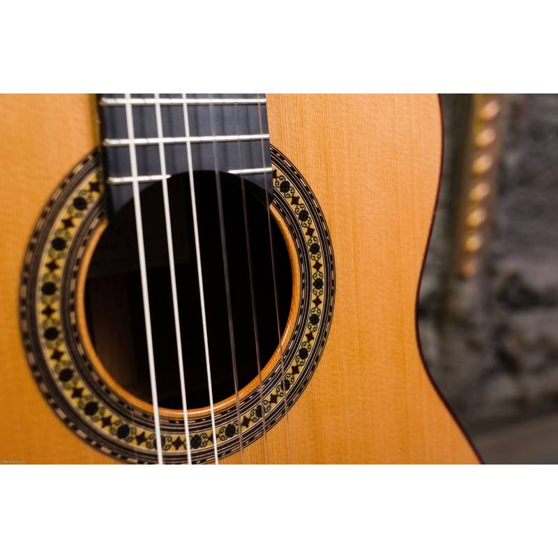 Фото PEREZ 650 Cedar - Гитара классическая 4/4 Перез