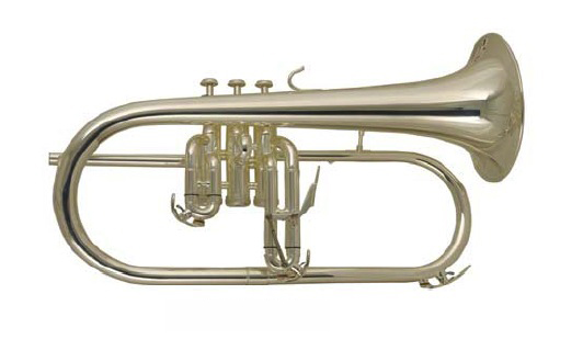 Фото Флюгельгорн WISEMANN FLH-600SP