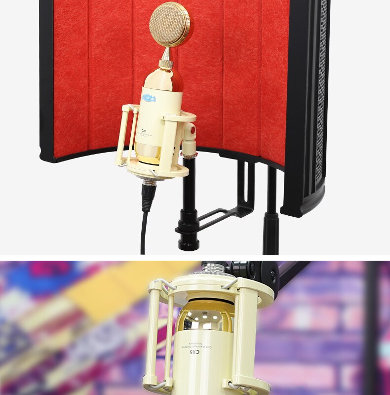 Фото Микрофон Alctron CX5