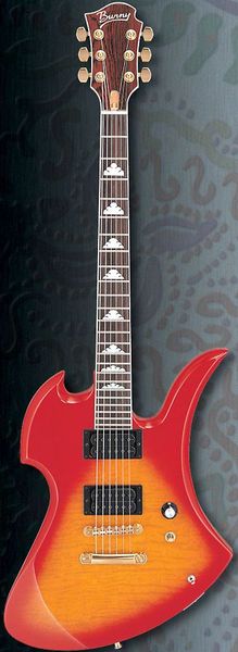 Фото Burny MG105X CS