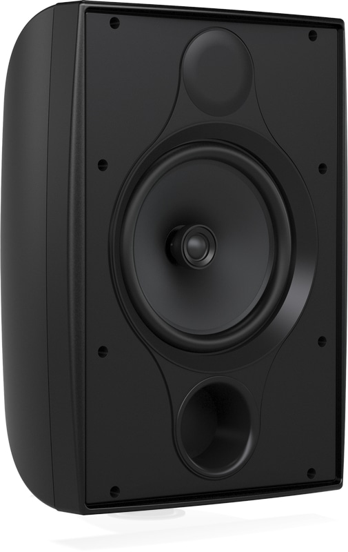 Фото Tannoy DVS 8  