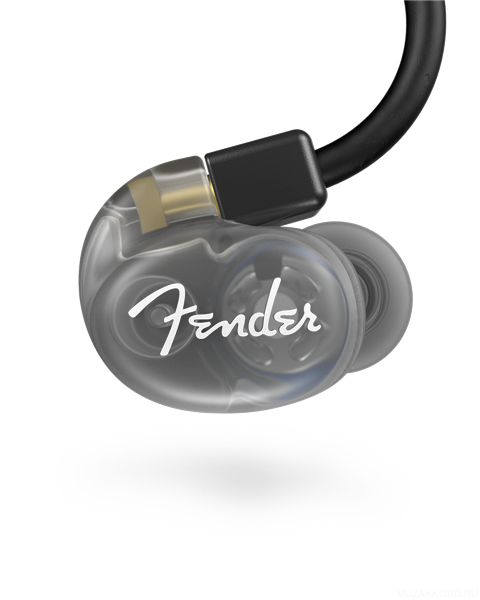 Фото FENDER DXA1 PRO IEM- TRANSP CHARCOAL