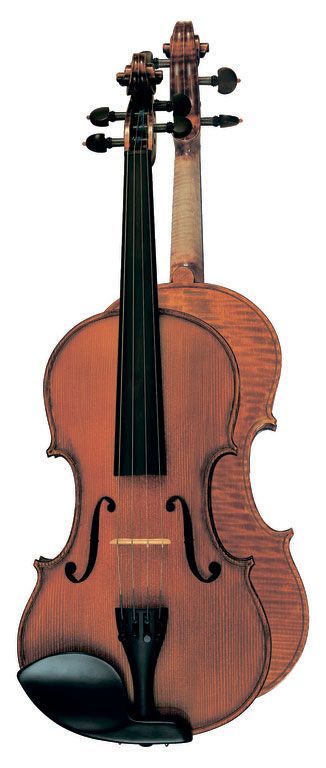 Фото Скрипка Hora Bird Eye Hora V200BE-4/4 Elite