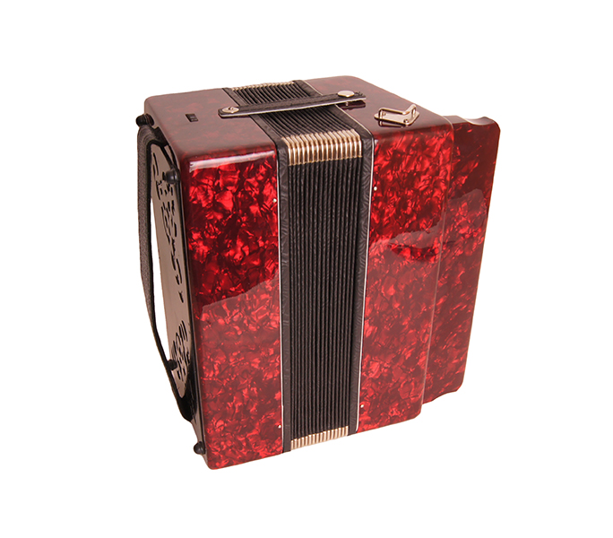 Фото Гармонь "Чайка 314" Шуйская гармонь S5XLY-A-RD