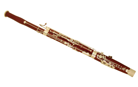 Фото Фагот WISEMANN DBN-300