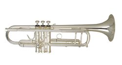 Фото Труба WISEMANN DTR-800SP