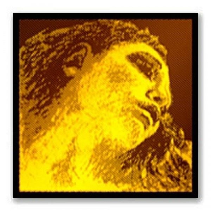 Фото Комплект струн для скрипки Pirastro 415021 Evah Gold Violin