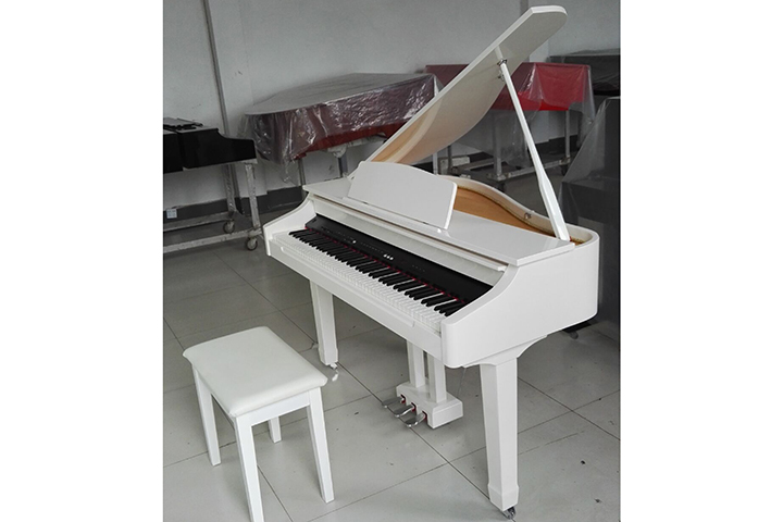 Фото Рояль Middleford MG-86B