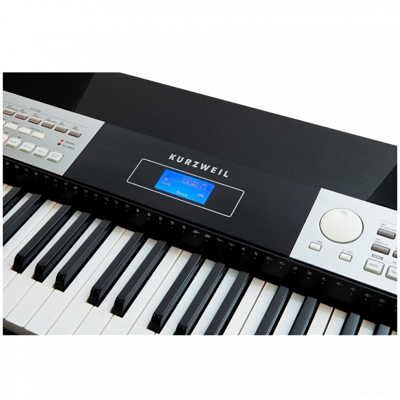 Фото Kurzweil KA110