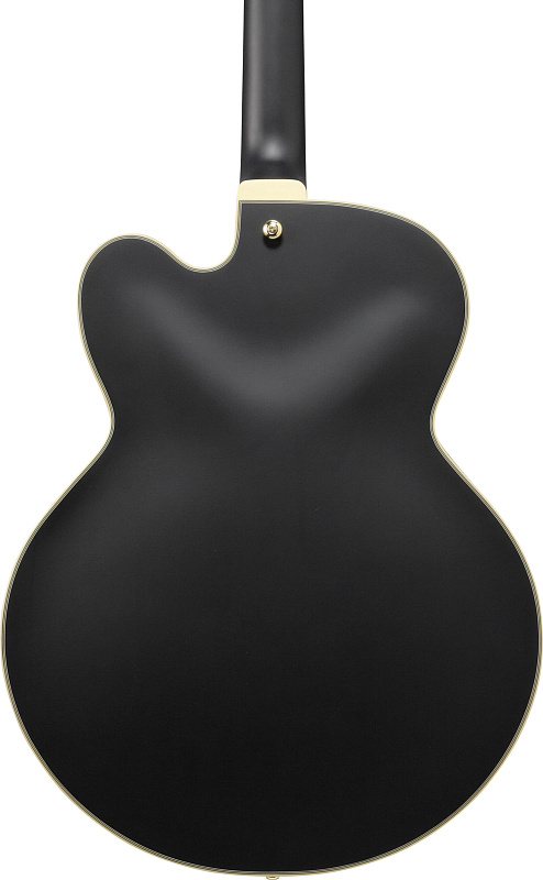 Фото Электрогитара IBANEZ AF75G-BKF