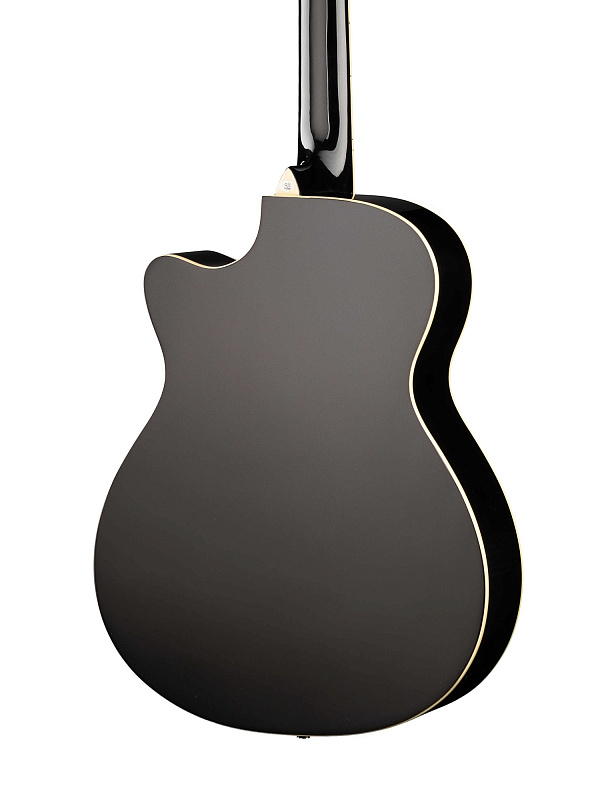 Фото Акустическая гитара Naranda TG220CBK