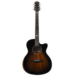 Акустическая гитара Aion F10