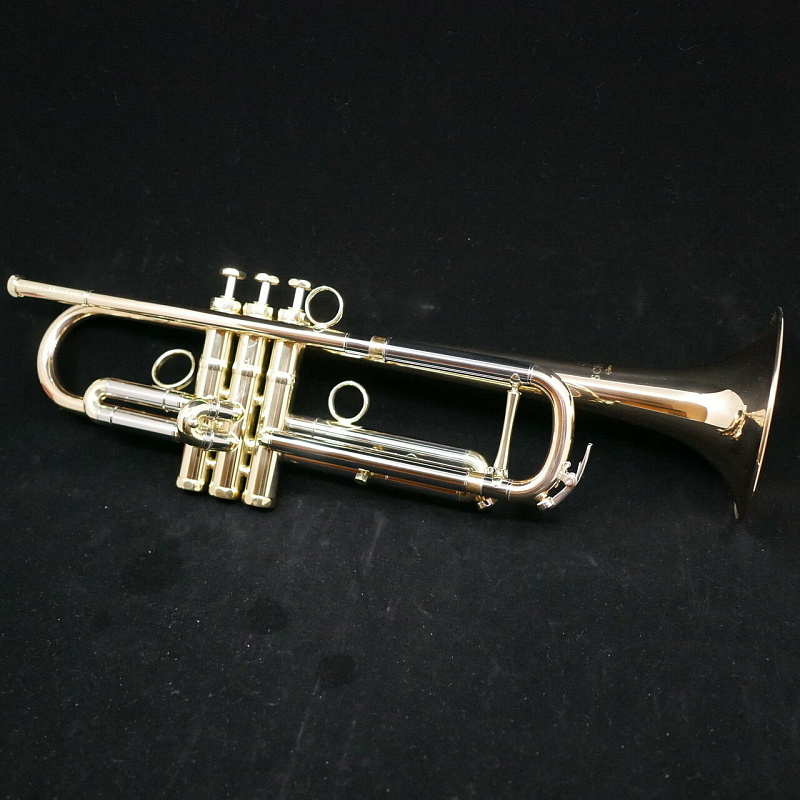 Фото Schagerl Academica Signature James Morrison Large Bore JM1X-L Bb