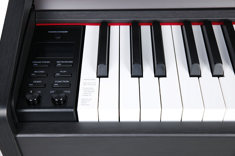 Фото Цифровое фортепиано Artesia A100 SR