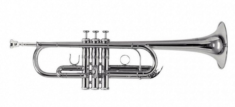 Фото ROY BENSON TR-402CS