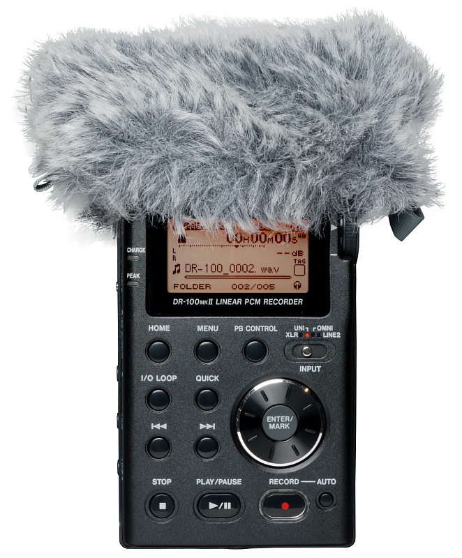 Фото Tascam WS-11