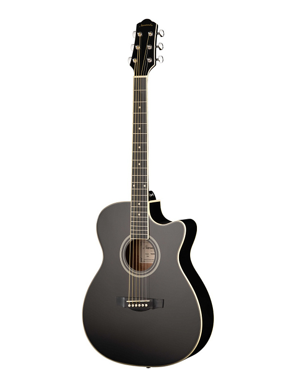 Фото Акустическая гитара Naranda TG220CBK