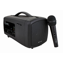 Портативная акустическая система Phonic SAFARI 1000 LITE