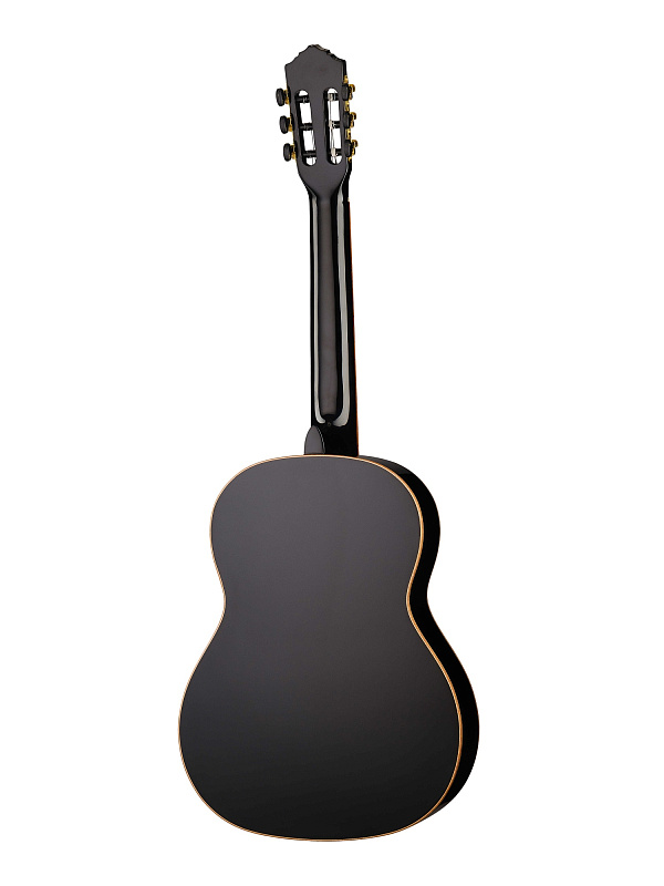 Фото Классическая гитара Ortega R221BK Family Series 