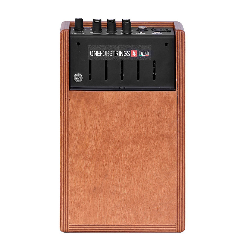 Фото Комбоусилитель акустический Acus One ForStrings 4Ferdi Wood