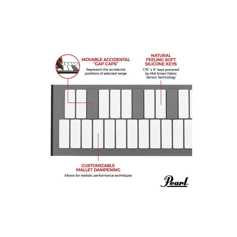 Фото Электронный контроллер Pearl EM1