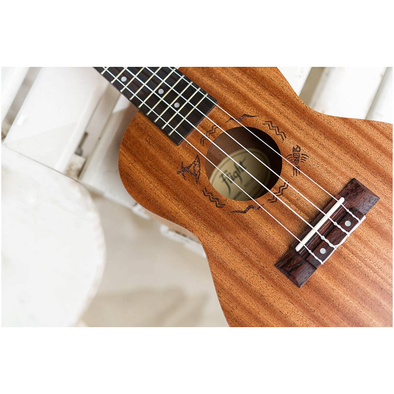 Фото Укулеле концерт FLIGHT NUC310