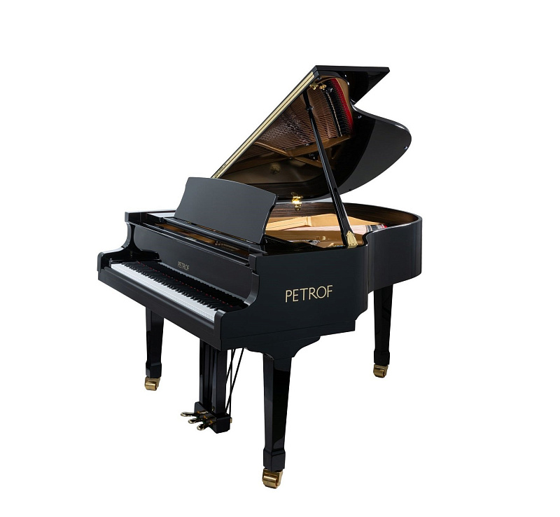 Фото Petrof P 173 Breeze (0801)