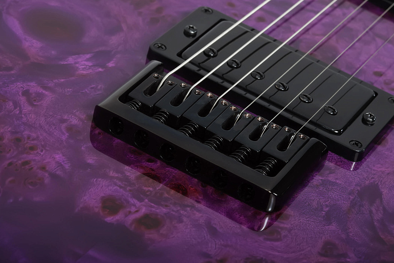 Фото Электрогитара Schecter PT STANDARD PBB
