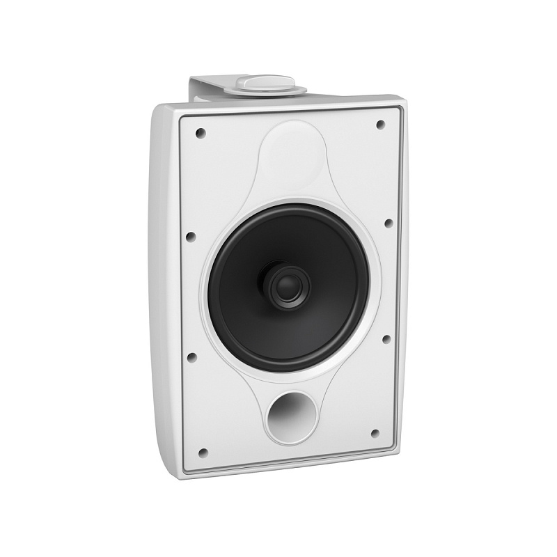Фото Всепогодная акустическая система TANNOY DVS 6 WH