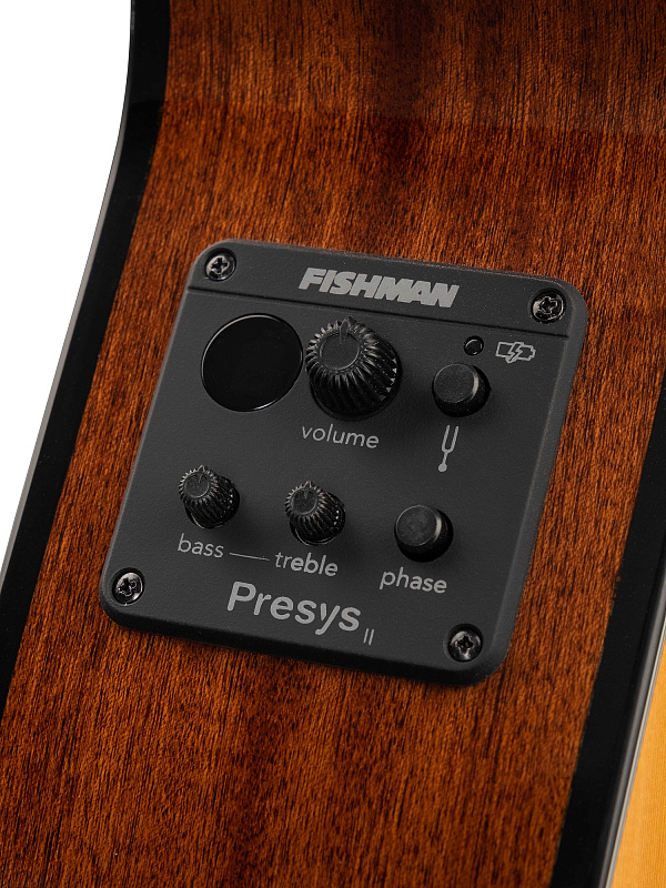 Фото Классическая гитара Cort CEC5-NAT Classic Series