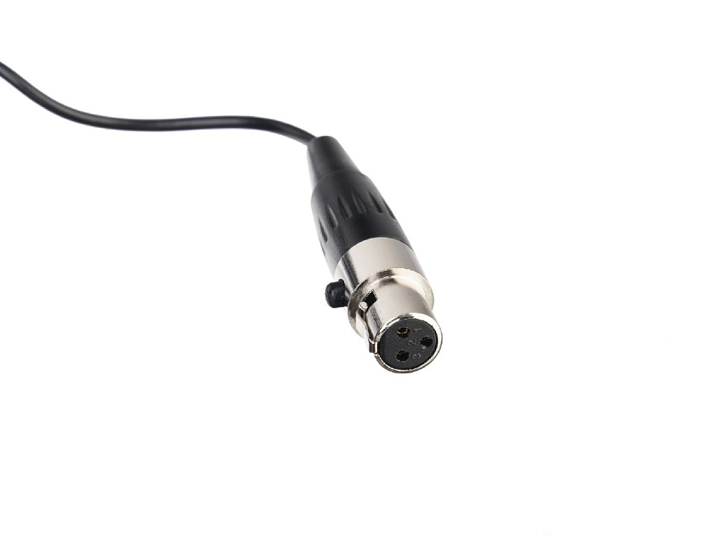 Фото Микрофон для контрабаса Prodipe PROBL21 BL21 Lanen