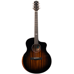 Акустическая гитара Aion F30