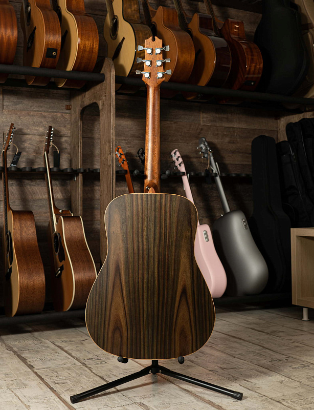 Фото Акустическая гитара NewTone D RW 43 кейс в комплекте