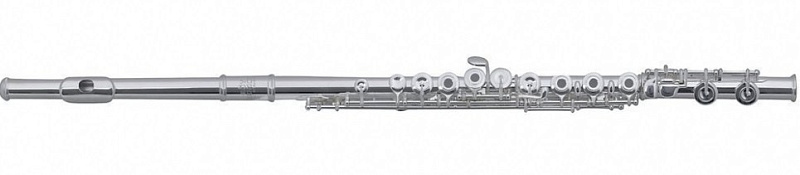 Фото ROY BENSON FL-602E