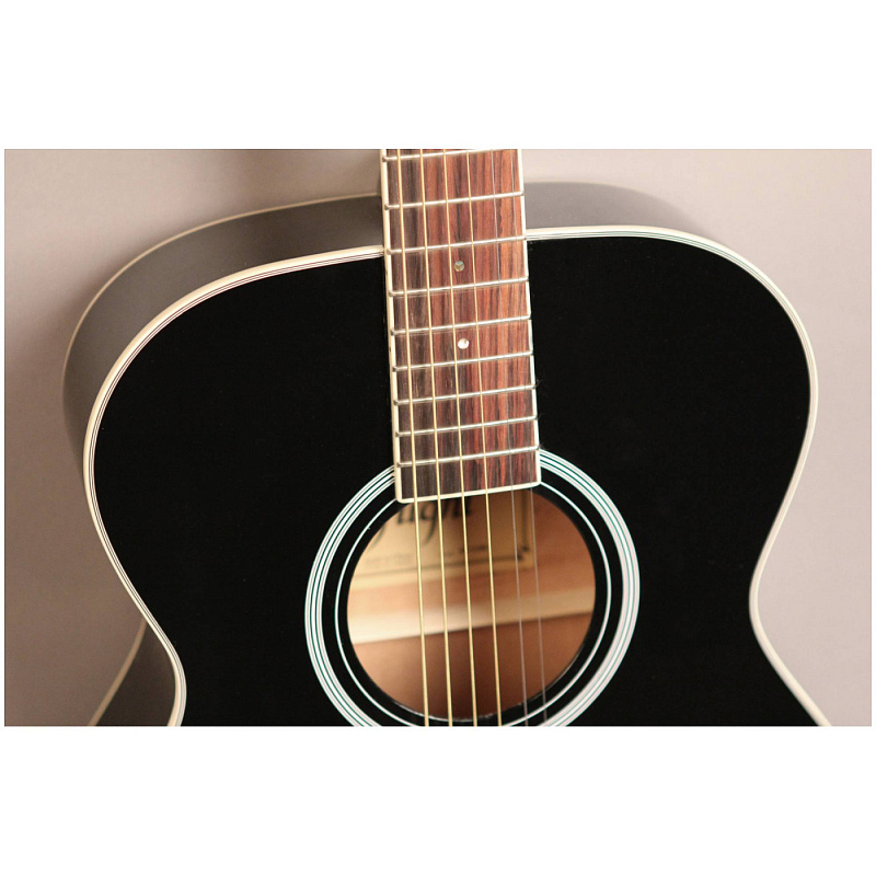 Фото Акустическая гитара FLIGHT AG-210 BK