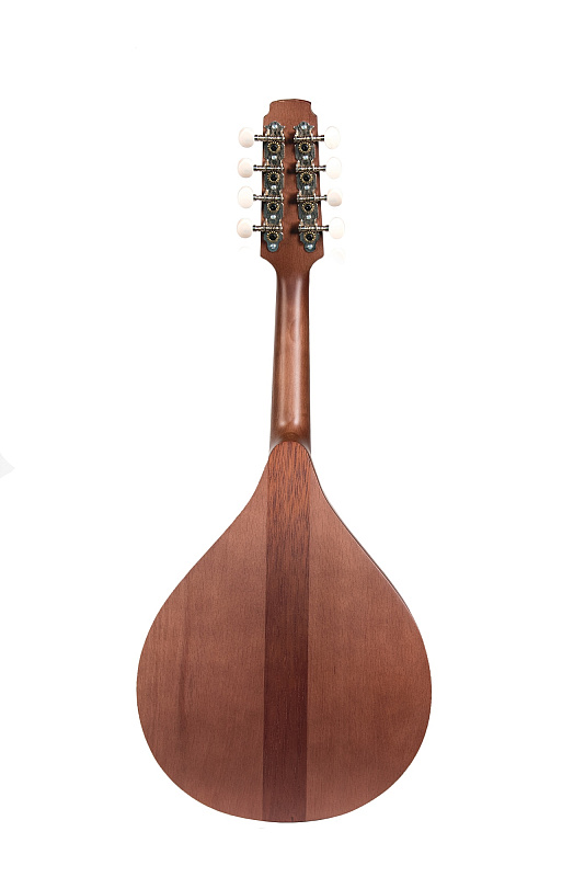 Фото P8BR Мандолина португальская, Doff