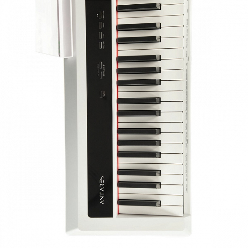 Фото Цифровое пианино Antares D-360 W