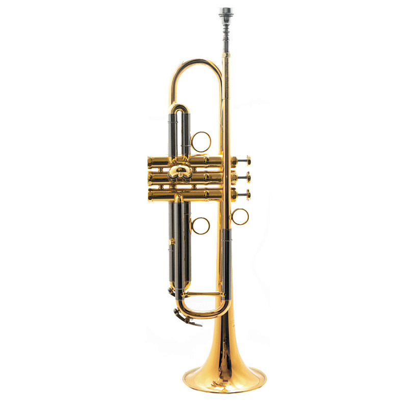 Фото Труба Schagerl Academica Signature James Morrison Large Bore JM1X-S Bb