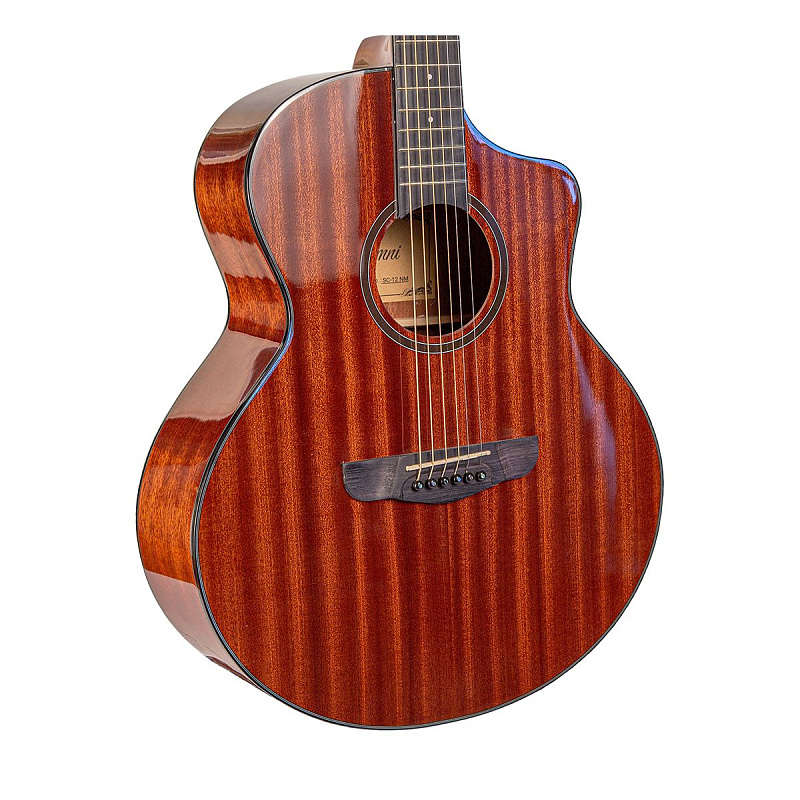 Фото Гитара акустическая Omni SC-12 NM