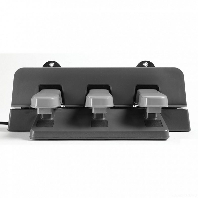 Фото Yamaha LP7A