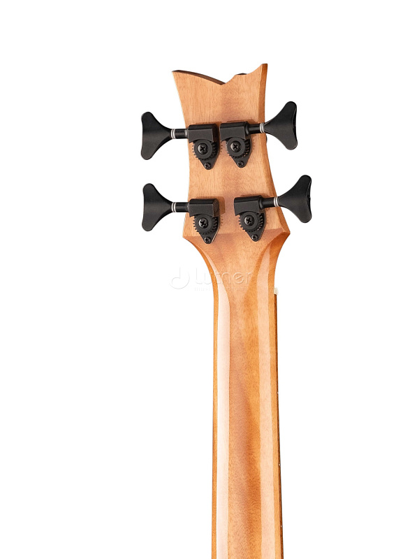 Фото Укулеле бас Ortega CAIMAN-BS-GB Lizard Series со звукоснимателем