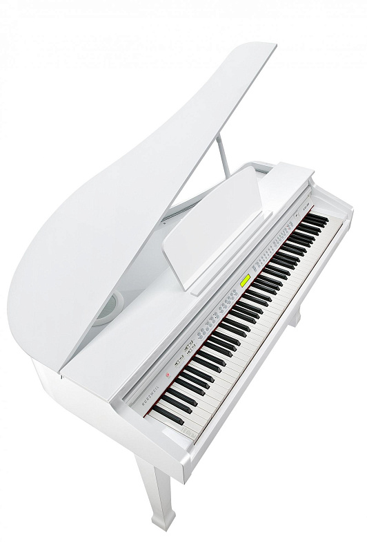 Фото Kurzweil KAG100 WHP