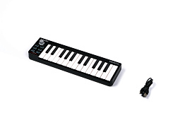  LAudio EasyKey