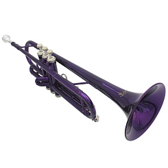 Bb pTrumpet 1P