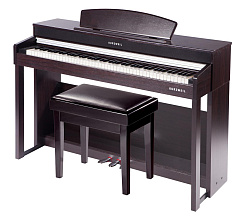 Kurzweil Andante CUP220 SR