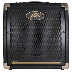 Peavey Ecoustic E20