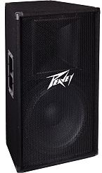 Peavey PV 115D